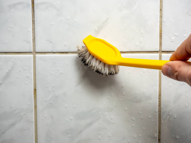 Best DIY Mold Remediation Support Services in Harrisonburg, VA