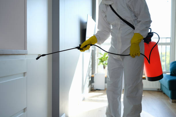 Best Mold Testing and Inspection Services in Harrisonburg, VA