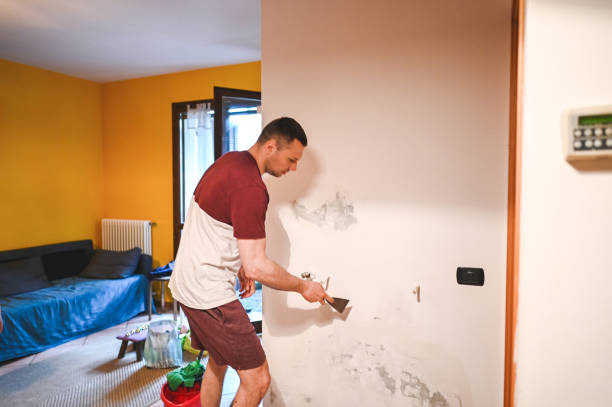 Best Residential Mold Remediation in Harrisonburg, VA